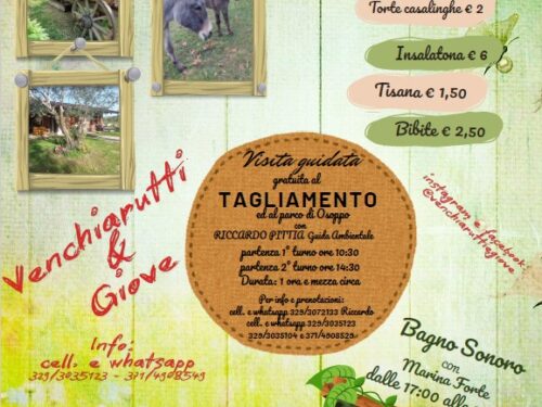 La Piana di Osoppo ed i suoi lati nascosti – Evento